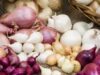Attachment for 5 Masalah Kesehatan Lenyap Berkat Minum Air Bawang Merah dan Bawang Putih,Yuk Konsumsi
