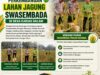 Polsek Amuntai Tengah Pantau Perkembangan Lahan Jagung Swasembada di Desa Karias Dalam