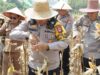 Dukung Ketahanan Pangan, Kapolres HSU Pimpin Panen Raya Jagung di Sungai Sandung