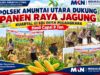 Polsek Amuntai Utara Dukung Panen Raya Jagung Kuartal III di Desa Pinangkara, Hasil Capai 9 Ton