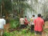 Personel Gabungan Berhasil Padamkan Kebakaran Lahan di Desa Teluk Daun Amuntai Utara